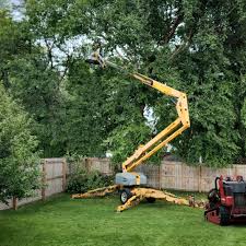 Best Organic Lawn Care Solutions  in Port Byron, IL